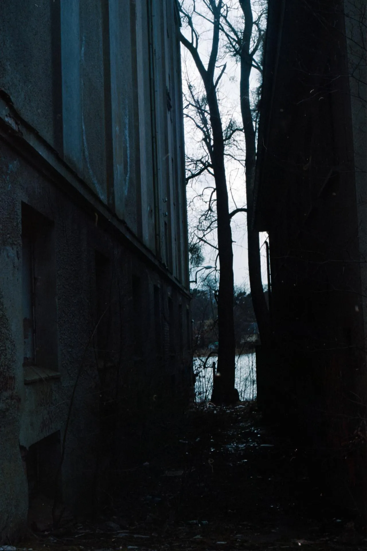 Thumbnail /2022 Brandenburg/Fürstenberg/Abandoned See.jpg