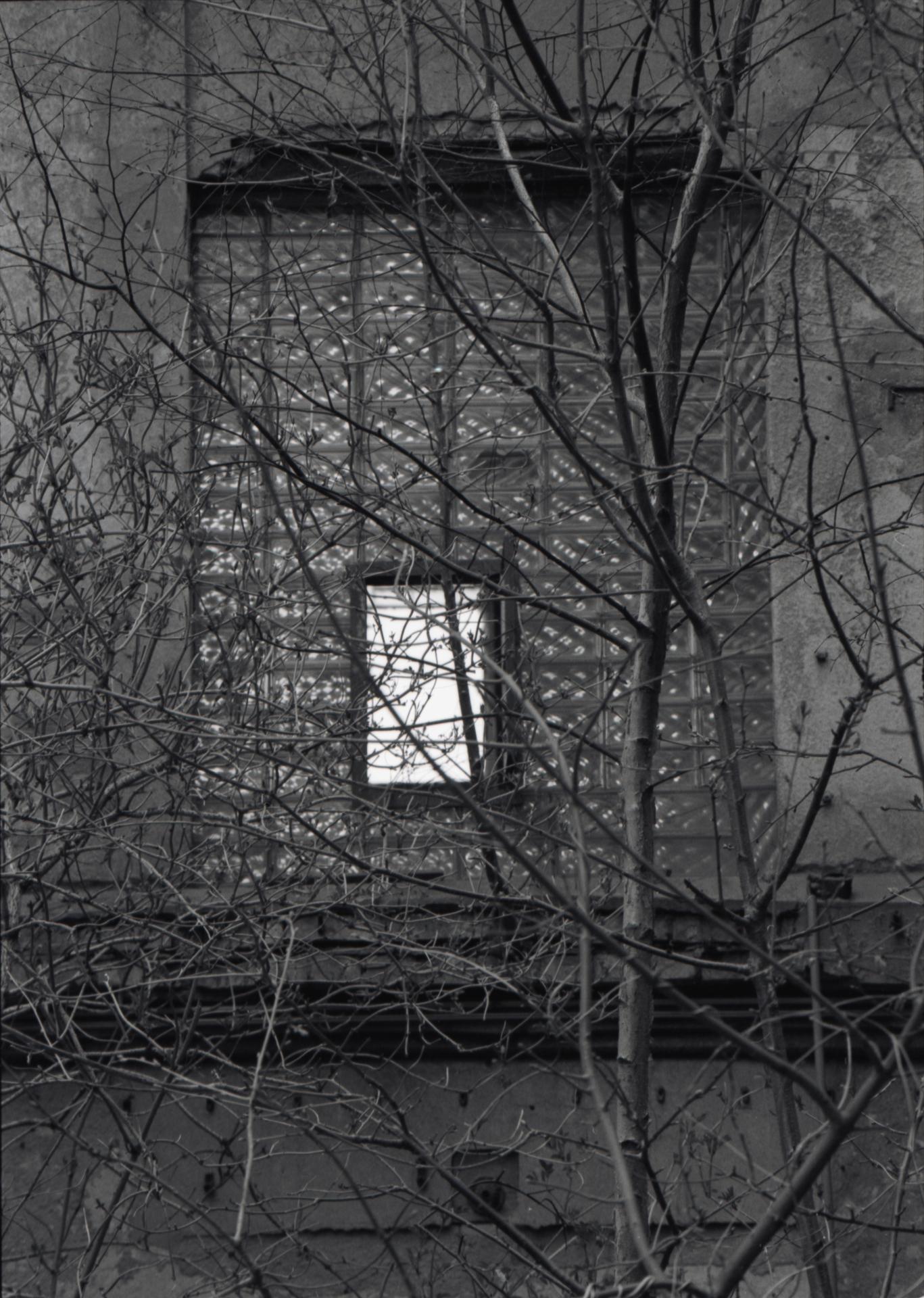 Thumbnail /2022 Brandenburg/Fürstenberg/Abdandoned_o.jpg